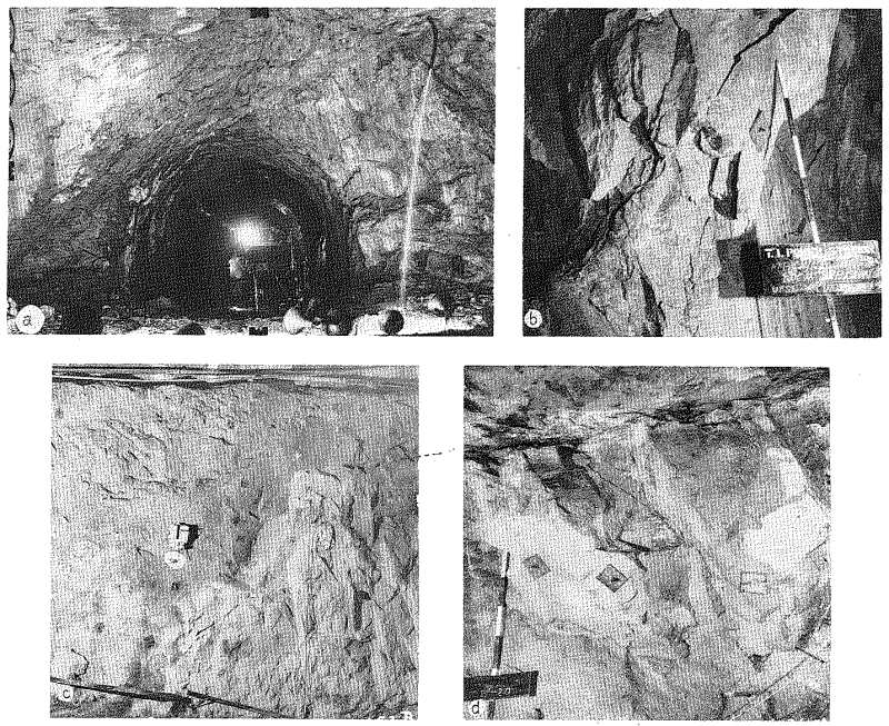 Plate 5 – Geological Structures